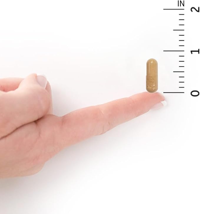 Garden of Life Prenatal Multivitamin - Image 8