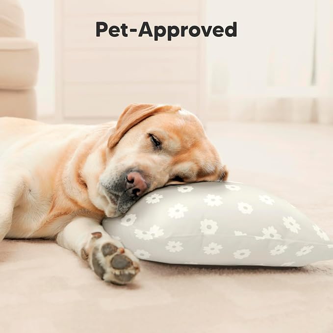 Toddler Pillow with Pillowcase - Image 8