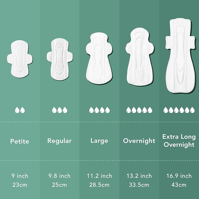 Rael Pads for Women, Organic Cotton Cover - Image 6