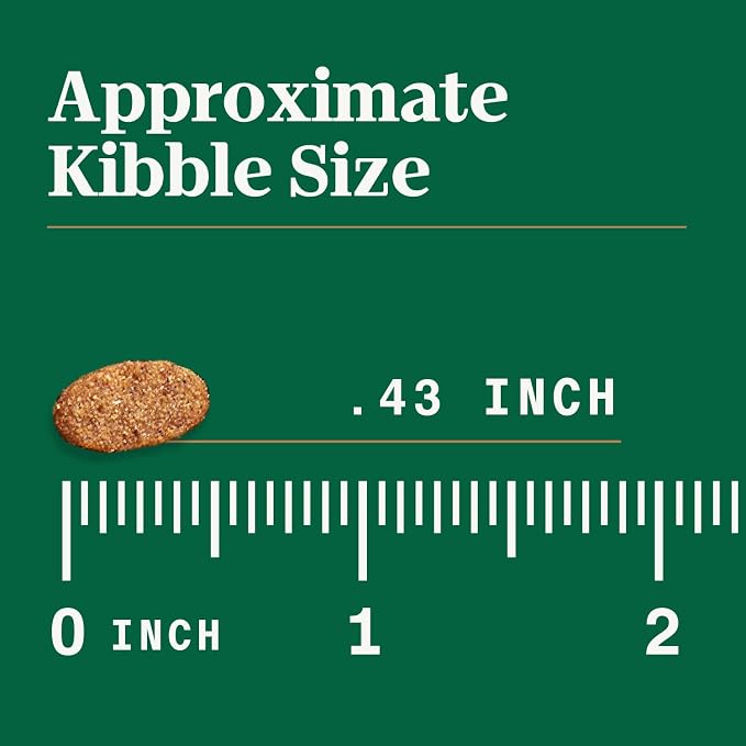 Nutro Ultra High Protein Dry Puppy Food, Trio of Proteins from Chicken - Image 12