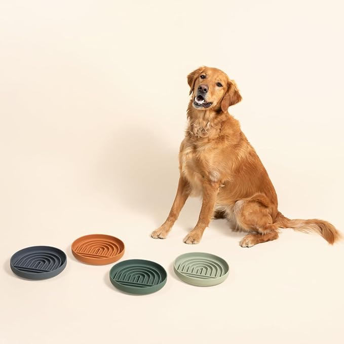 Should We Go? Slow Feeder for Dogs & Puppies, The Slowdown Bowl Silicone Slow - Image 6