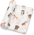 LollyBanks Swaddle Blanket, 100% Cotton Muslin Swaddle Blankets, Neutral by LollyBanks