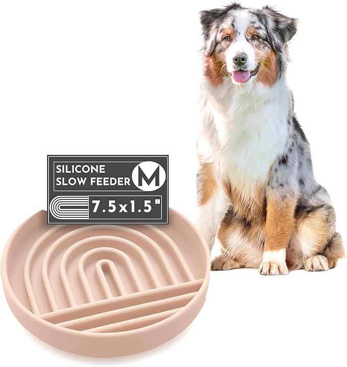 Should We Go? Slow Feeder for Dogs & Puppies, The Slowdown Bowl Silicone Slow by ShouldWeGo