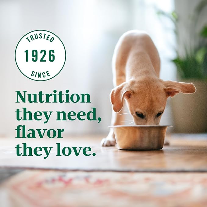 Nutro Ultra High Protein Dry Puppy Food, Trio of Proteins from Chicken - Image 10