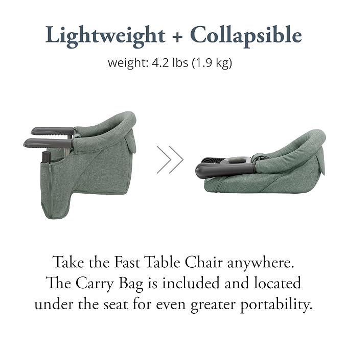 Inglesina Fast Table Chair - Image 3