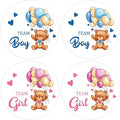 80Pcs Cute Bear Gender Reveal Stickers Roll, 2 Inch Team Boy Team Girl Gender by PNTKION