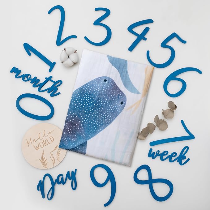 Miaoberry Ocean Baby Milestone Blanket – Monthly Baby Milestone Photo Prop by MiaoberryBaby