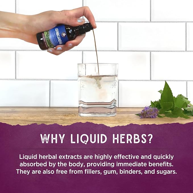 WishGarden Herbs Daily Immune Builder - Image 5