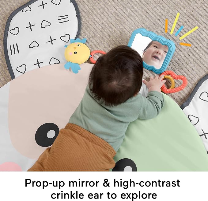 Fisher-Price Baby Tummy Time Toy, Puppy Perfection Giant Play Mat - Image 3