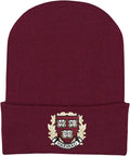 College Baby NCAA Officially Licensed Infant Knit Cap by CollegeBaby