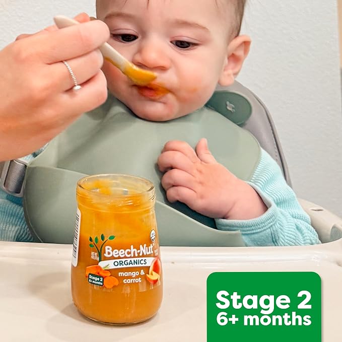 Beech-Nut Chicken Baby Food Pouches - Image 6