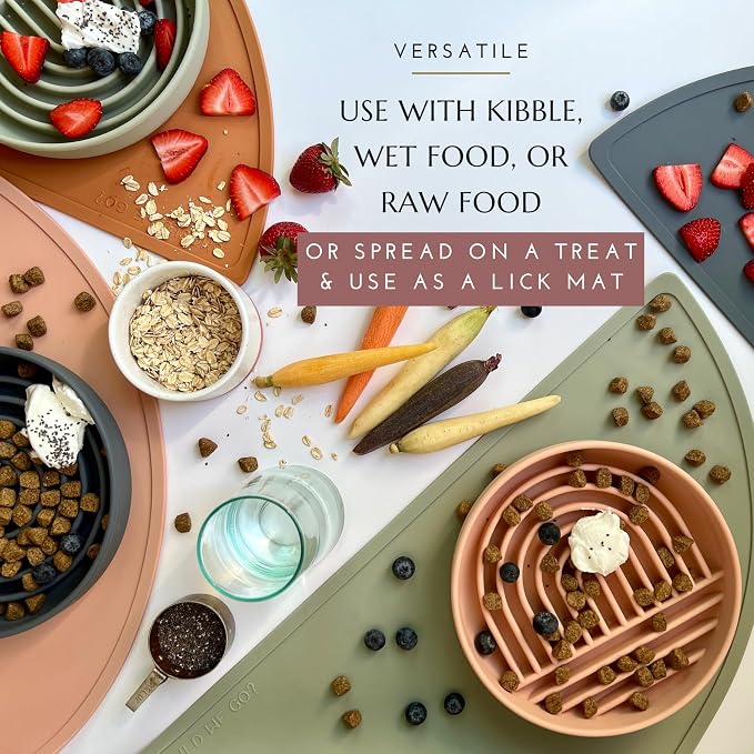 Should We Go? Slow Feeder for Dogs & Cats, The Slowdown Bowl Silicone Slow - Image 8