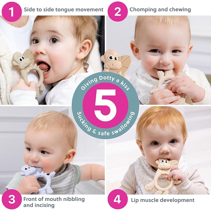 Bibado - Dotty The Dinosaur Teething Toys, Mist - Multi-Sensory Teether - BPA - Image 5