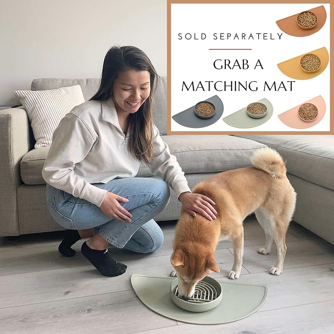 Should We Go? Slow Feeder for Dogs & Puppies, The Slowdown Bowl Silicone Slow - Image 8