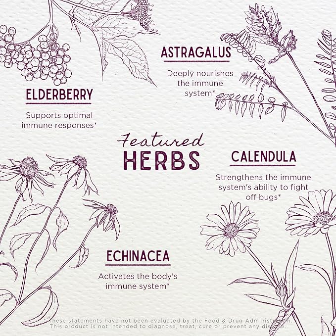WishGarden Herbs Daily Immune for Kids - Image 4